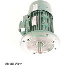 Load image into Gallery viewer, VERTICAL MOTOR 3HP 220V 3-PH