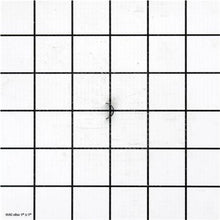 Load image into Gallery viewer, CURVED PLATE