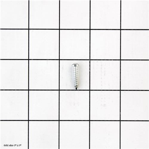 TAP SCREW M3-.5 X 10