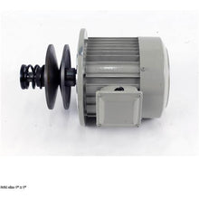 Load image into Gallery viewer, MOTOR WITH PULLEY ASSEMBLY V3.08.18