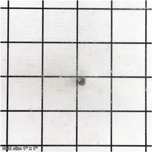 Load image into Gallery viewer, PIN