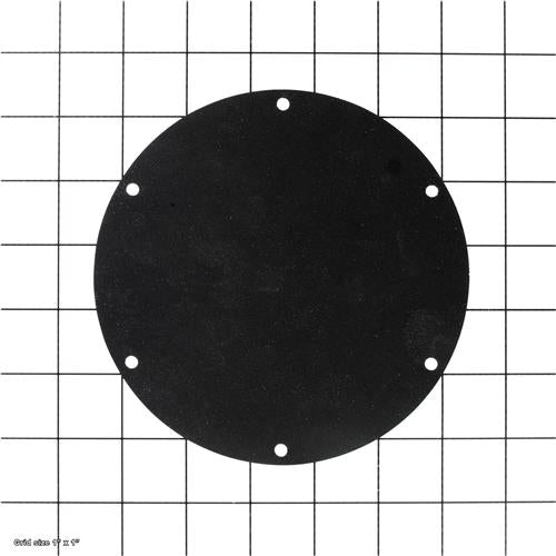 DIAPHRAGM