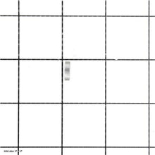 Load image into Gallery viewer, SPACER
