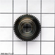 Load image into Gallery viewer, GEAR 47T