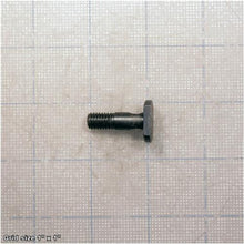 Load image into Gallery viewer, STEADY REST SCREW