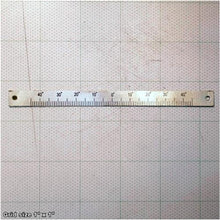 Load image into Gallery viewer, SCALE