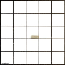 Load image into Gallery viewer, PIN