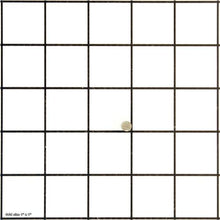 Load image into Gallery viewer, PIN