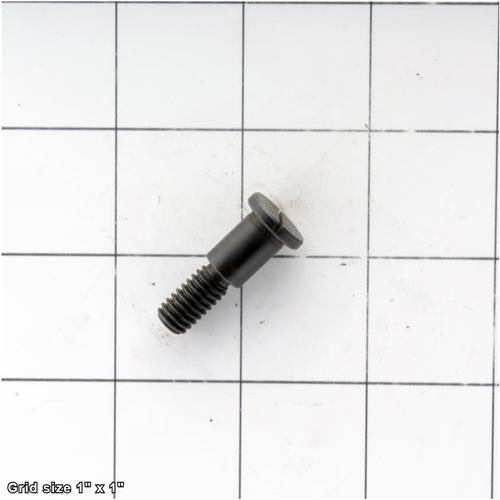 BRAKE RING SCREW