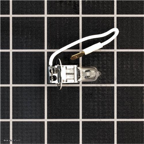 HALOGEN BULB 24V