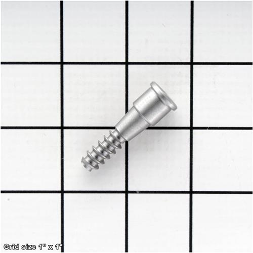 WOODWORM SCREW