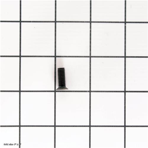 FLAT HD TORX SCR T20 M6-1 X 15