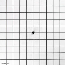 Load image into Gallery viewer, SPRING CAP