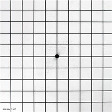 Load image into Gallery viewer, SPRING CAP