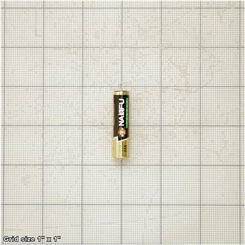 AAA ALKALINE BATTERY