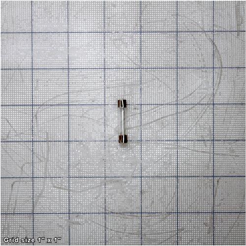 FUSE 5A 250V 1-1/8