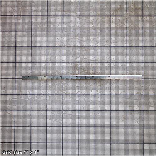 SCALE