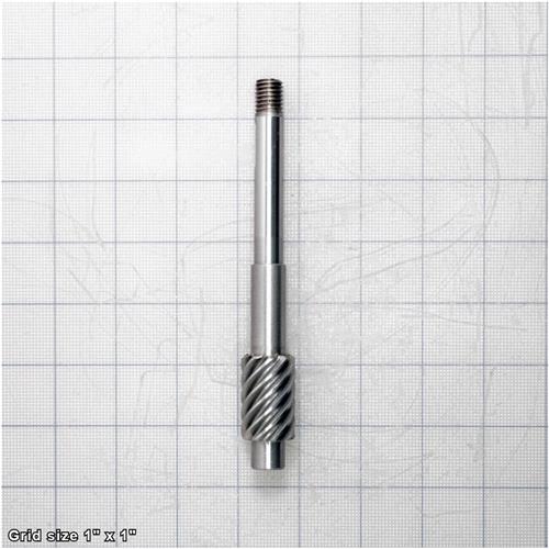 WORM GEAR