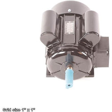 Load image into Gallery viewer, AC MOTOR