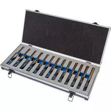 Load image into Gallery viewer, Grizzly T31989 - 13 Pc. HSS/Cobalt Silver &amp; Deming Drill Bit Set W/ Aluminum Case