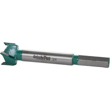 Load image into Gallery viewer, 3/4" Tungsten Carbide Hex Shank Forstner Bit