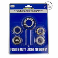 Repair Kit with Polyethylene Packings (1587315998755)