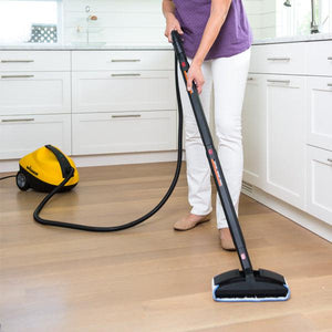 Wagner Surface Prep 915E On-Demand Steamer