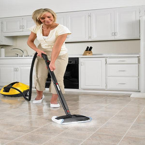 Wagner Surface Prep 915E On-Demand Steamer