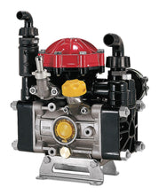 Load image into Gallery viewer, AR30-GR3/4-GCI 550 RPM Semi-Hydraulic Two Diaphragm Pump w/ Gear