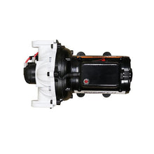 Load image into Gallery viewer, EVERFLO EFSW4000 4.0GPM Soft Wash (Bleach) Pump