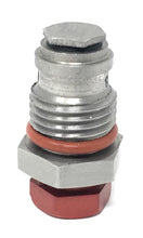 Load image into Gallery viewer, Binks 207-12253 Flush Valve Assembly