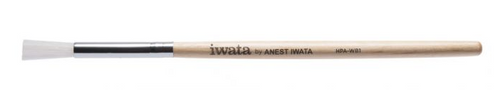 Iwata HPAWB1 Washing Brush