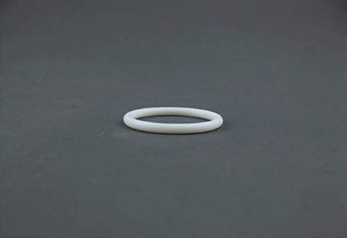 Titan 891-193 Teflon O-Ring, outlet filter seat
