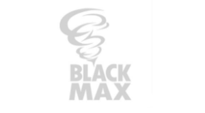 Black Max Fan Explosion Proof Electric