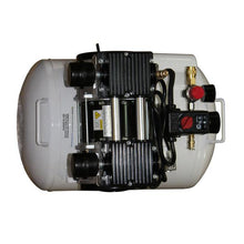 Load image into Gallery viewer, California Air Tools 10020CHAD Ultra Quiet &amp; Oil Free Air Compressor w/ Auto Drain Valve