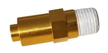 Load image into Gallery viewer, Simpson 7101359 - EW 1/4 in. NPT Thermal Relief Valve