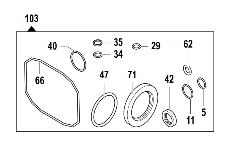 Simpson 7109628 Oil Seal Kit